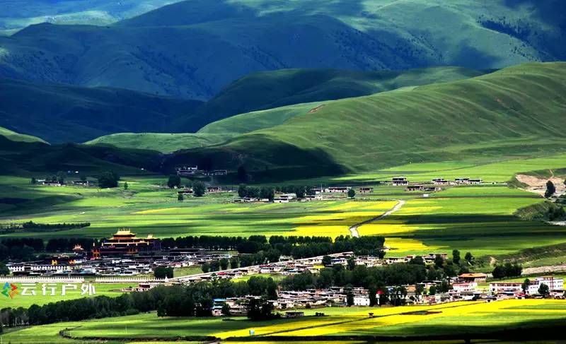 2019年成都自驾林芝看桃花,金川梨花赏花路线