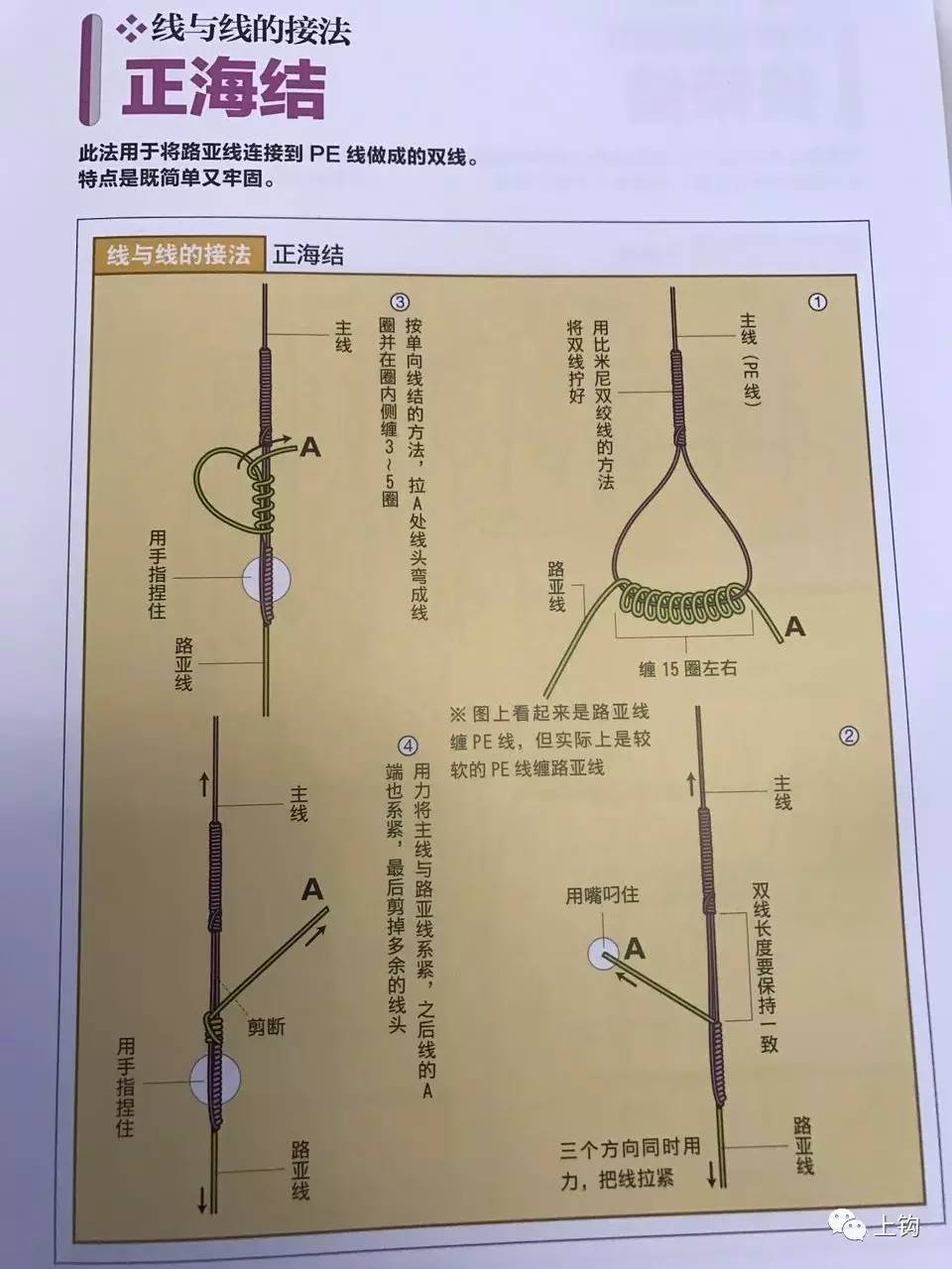 海钓惊人的捕鱼技巧大型鱼类上钩,岸边海钓技巧绑线