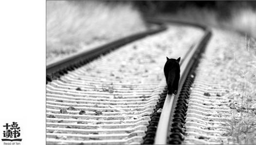 不要每天跟别人聊天,不要跟喜欢的人聊天