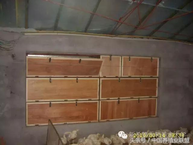 冬季鸡怎么管理,冬季脱温鸡怎么养