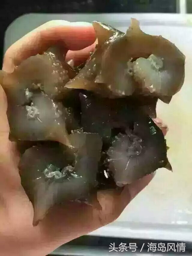 海参的传说典故,海参有什么奇特之处