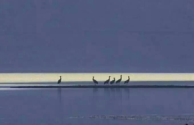 看完这些摄影作品点评，你的摄影技能会有大幅提升