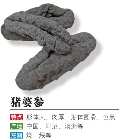 从网上买的海参是真的吗,购买的海参