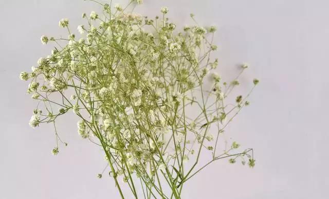 女儿在大学谈恋爱多给生活费,女儿大学谈恋爱干涉不了