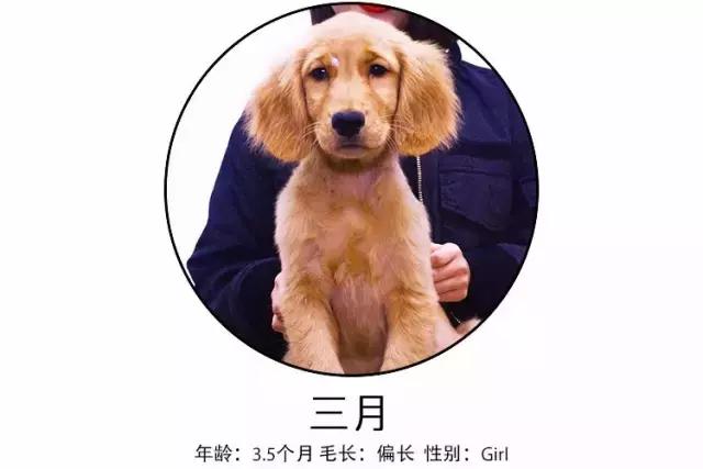 免洗泡沫十大排行榜,免洗泡沫洗手液测评