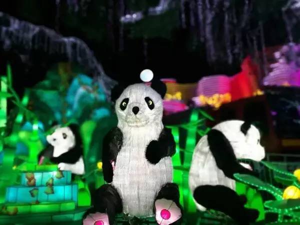 自贡第30届灯会,自贡今年灯会65岁是否免票观灯