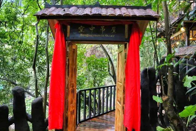 惊！艳！清远这片森林惊现空中吊屋！来过你再也不想回家