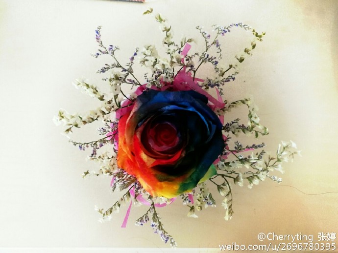 人美,竟连作品也妙致毫巅!手工永生花见证爱情,树脂画几乎逼真