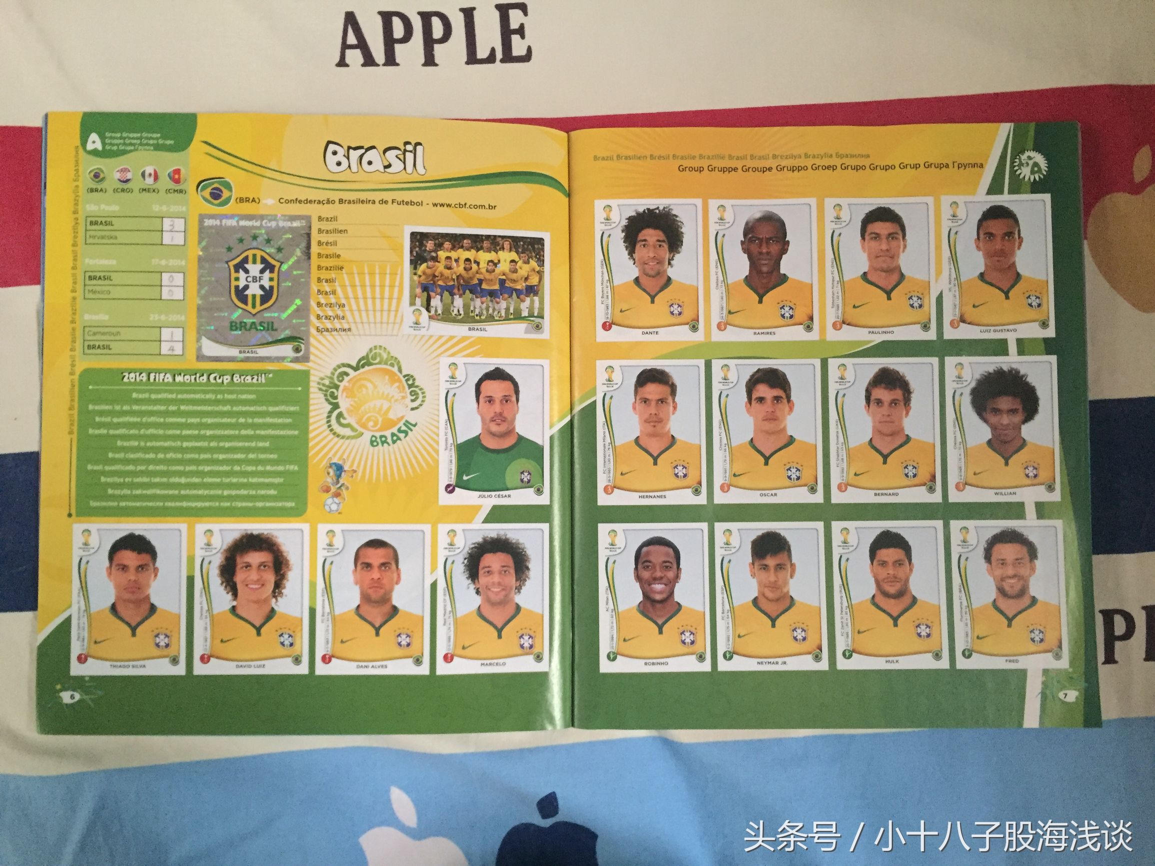 帕尼尼世界杯贴纸,帕尼尼2022世界杯收藏贴纸