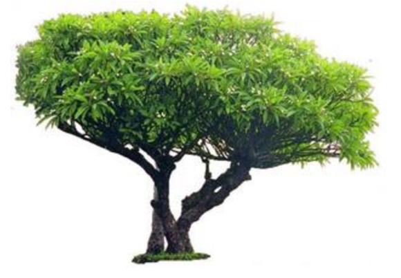 网贷最惨案例,盘点各个网贷平台利息