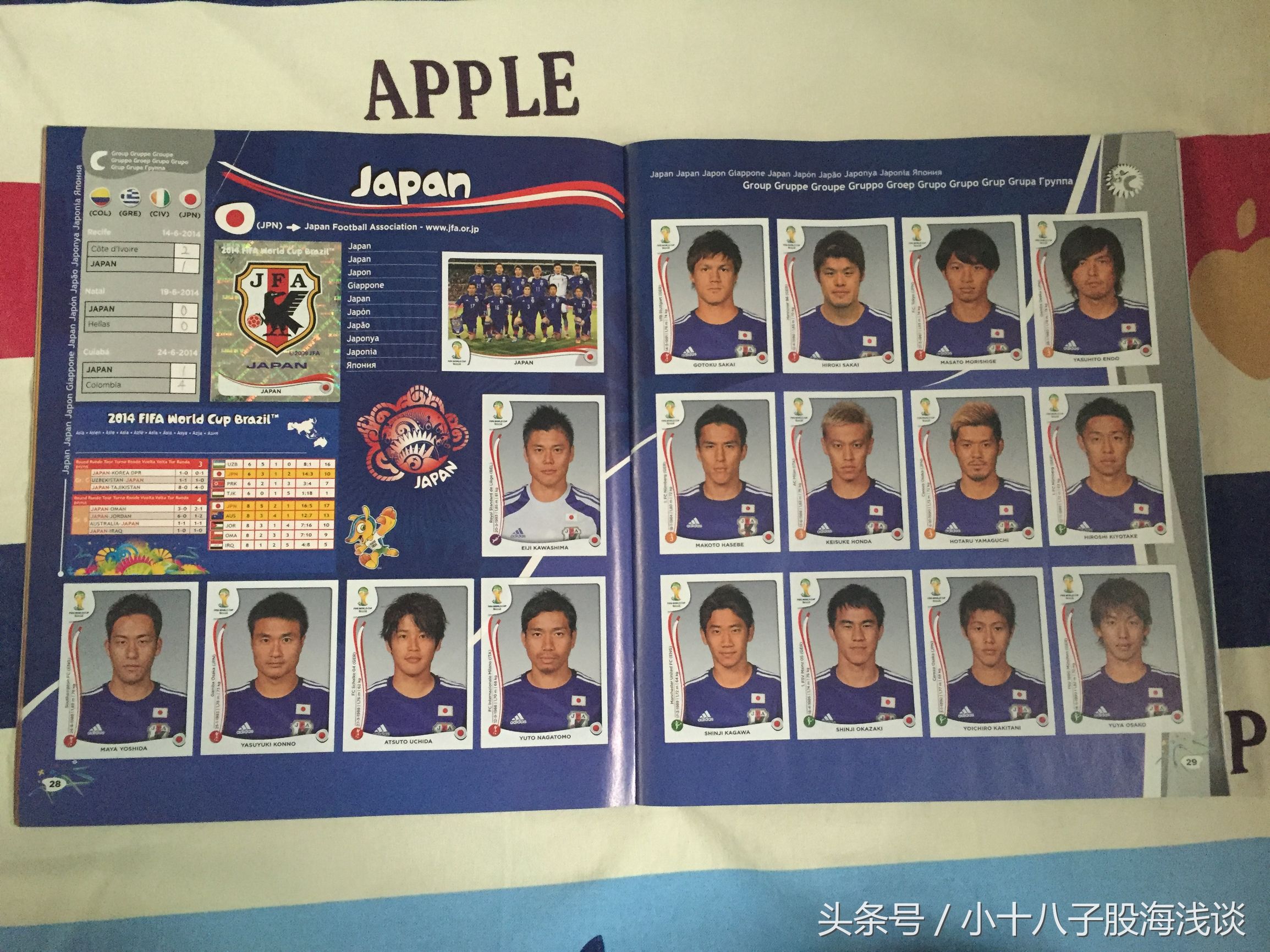 帕尼尼世界杯贴纸,帕尼尼2022世界杯收藏贴纸