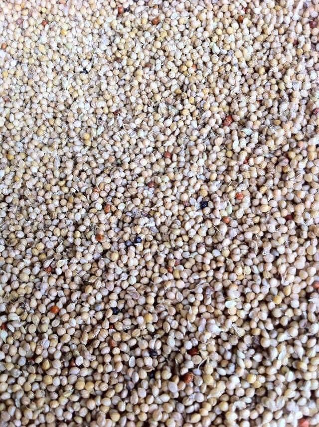 珍藏50张绝美墙纸,花了2000个小时选出十张壁纸