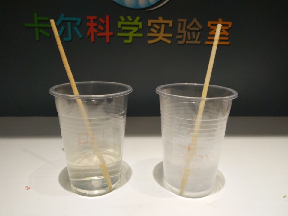 净水实验1-卡尔科学实验室76期