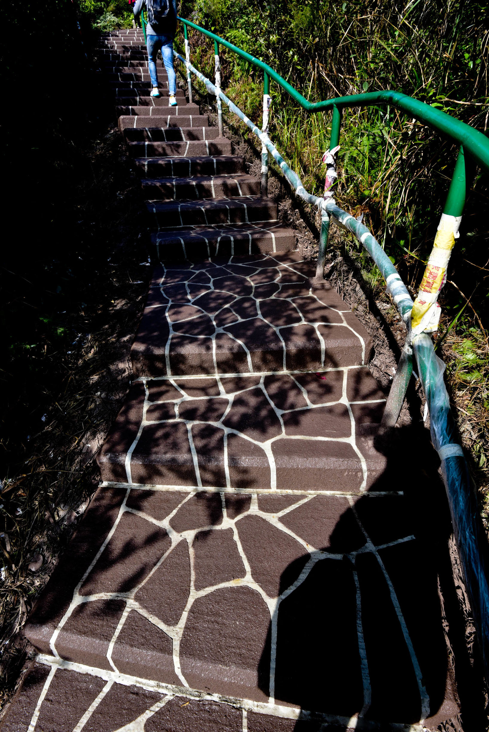 兔子游日本,兔子海边旅行记