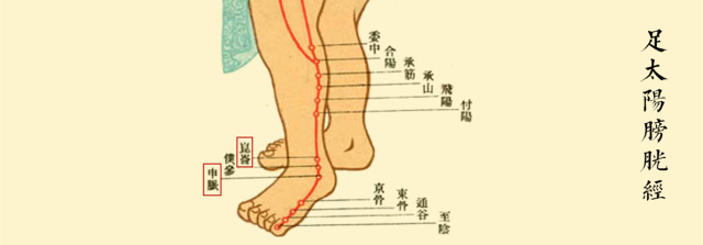 字里藏医全集完整版,字里藏医txt免费下载