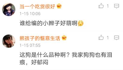 陈赫综艺节目中的狗,陈赫晒萌宠照片狗狗名字太霸气