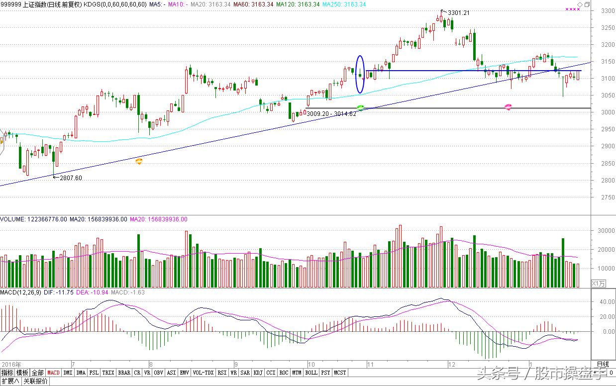 职业操盘手记：未来一主线将牛股辈出