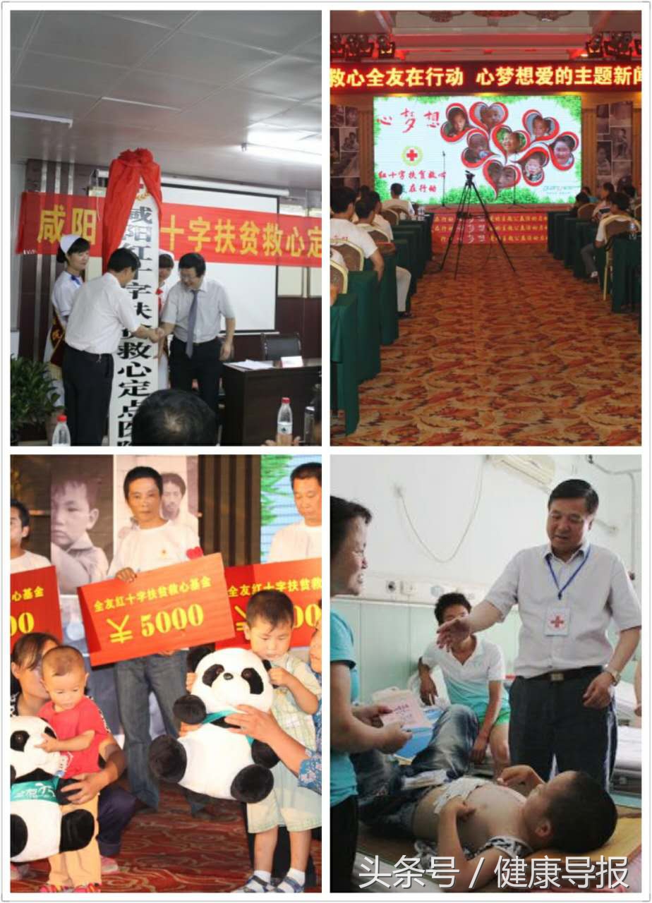 柏本健简历,柏本健