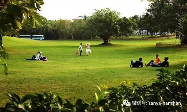 中国最好的海滨城市三亚,三亚值得去的城市