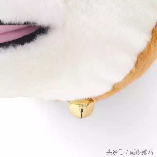 猫控营养补充剂,猫控