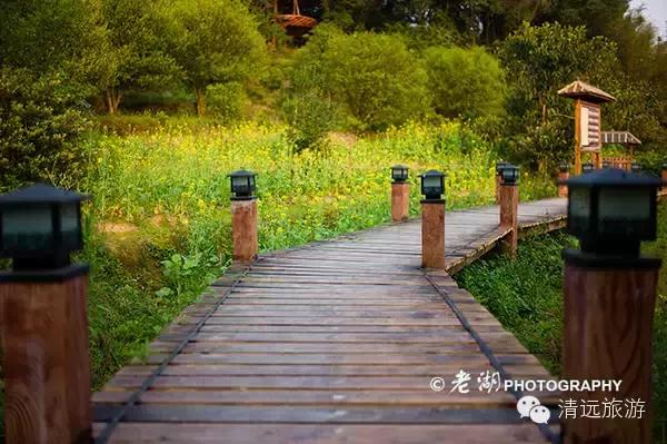 惊！艳！清远这片森林惊现空中吊屋！来过你再也不想回家