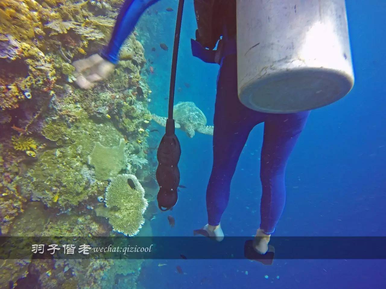 美娜多海岛一日游,印尼美娜多跟团游