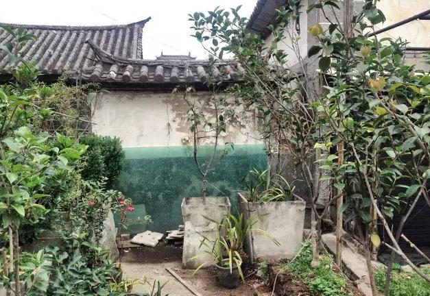 香港夫妻移民香港,香港夫妻改造旧房