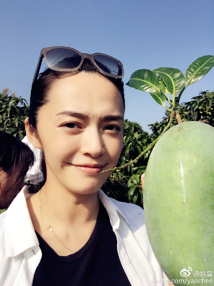 安吉考拉的视频,安吉考拉海边度假