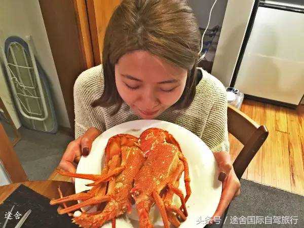 新西兰旅游游记,4月新西兰游记