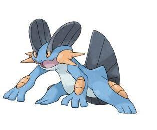 口袋妖怪水系巨沼怪,口袋妖怪水系道馆