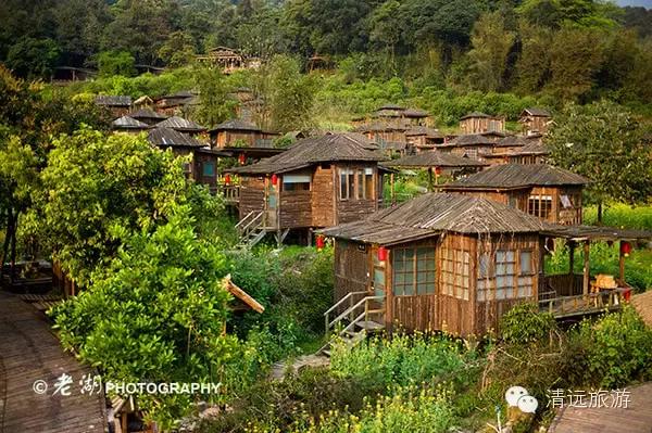 惊！艳！清远这片森林惊现空中吊屋！来过你再也不想回家