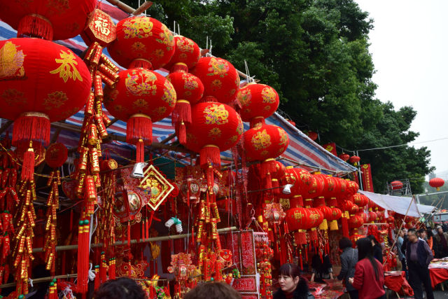 深圳春节花市主会场,逛深圳迎春花市