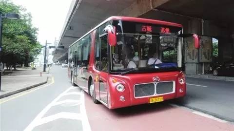 苏州春季梅花免费观赏胜地,苏州梅园赏梅花时间