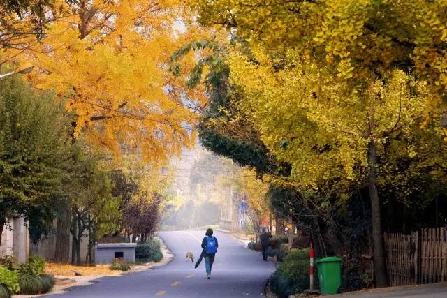 从不羡慕北上广的生活,上海人眼中的湖州