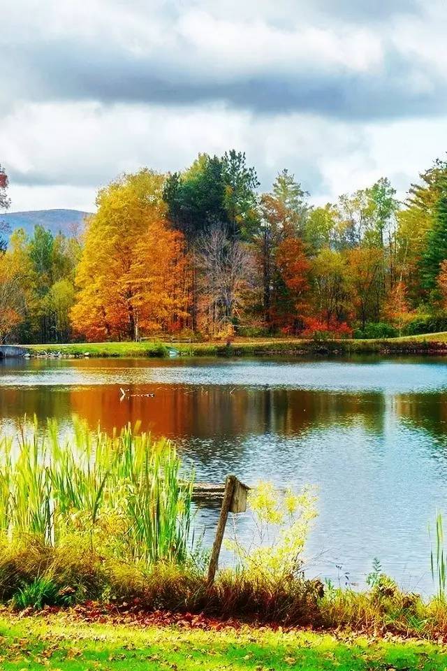 古诗最美田园诗,诗词美句