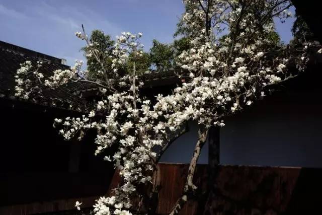 从不羡慕北上广的生活,上海人眼中的湖州