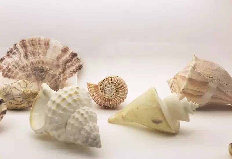 聂鲁达说,没有玩具我就没法活!那么,来看看大诗人怎么活的吧