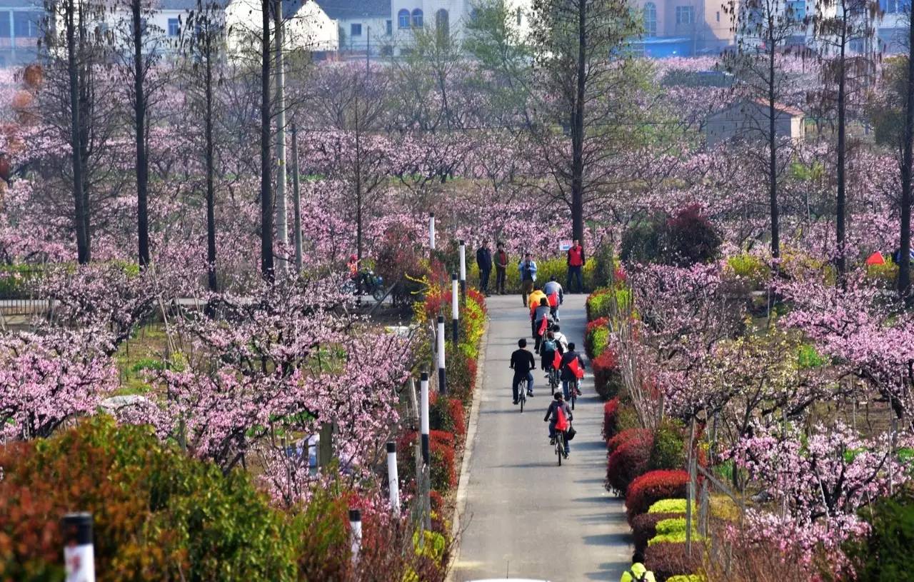 同力同行，点赞无锡！2016，我们一起走过……