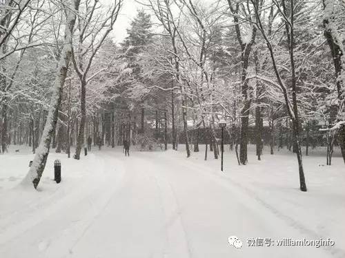 日本北海道旅游攻略自由行,日本大阪旅游攻略