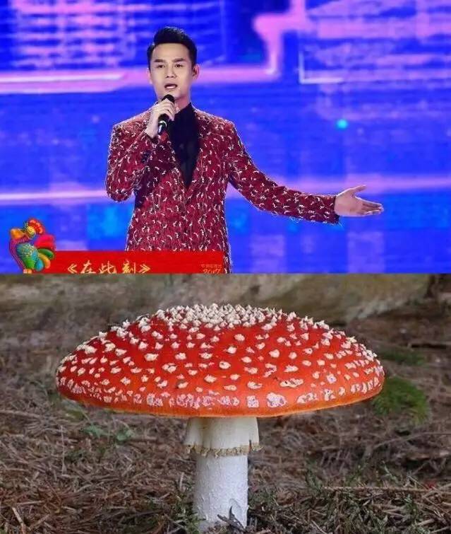 近10年春晚最好的一届,今年春晚都有哪些看点