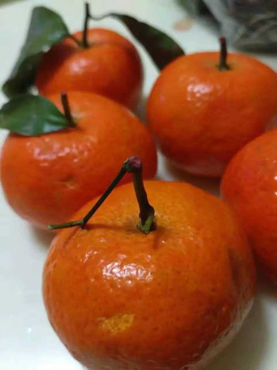 「微快讯」克拉玛依市民买到疑似染色的砂糖橘市场监管局已介入调查