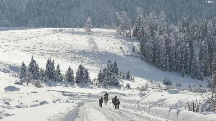 最新喀纳斯禾木视频,新疆喀纳斯禾木冬天视频