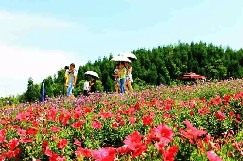 三千多平方公里的家，名字叫石柱