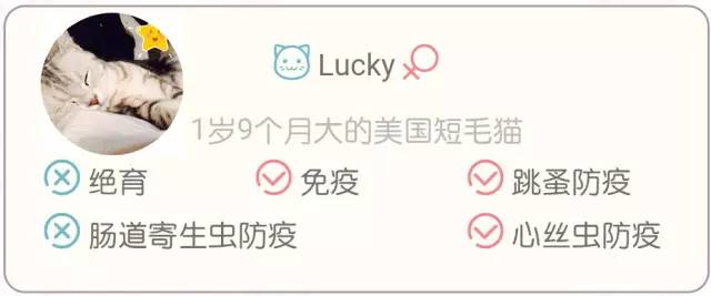 搬新家、换新厕，却被差评？“本喵憋屎抗议！”