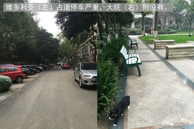 神仙树大院美食,神仙树大院和桐梓林一号