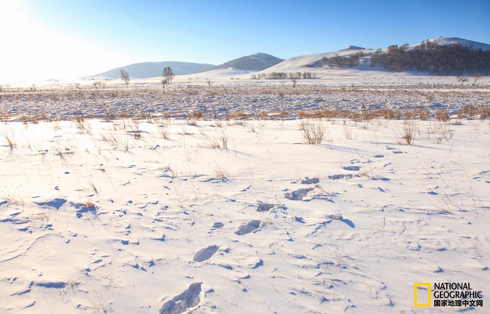 趁冬天还没有来临之前去一趟,一起到坝上去看雪