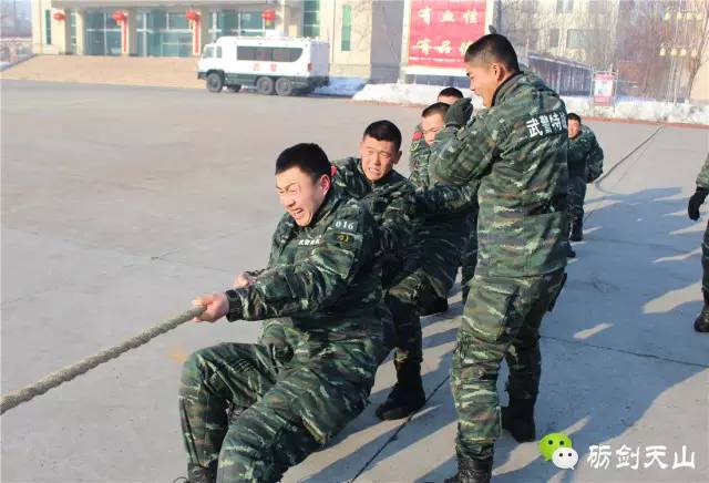 丰富警营文化有哪些活动,警营文化活动实施方案