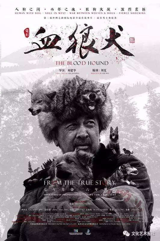 电影血狼犬中的犬,血狼犬护主电影