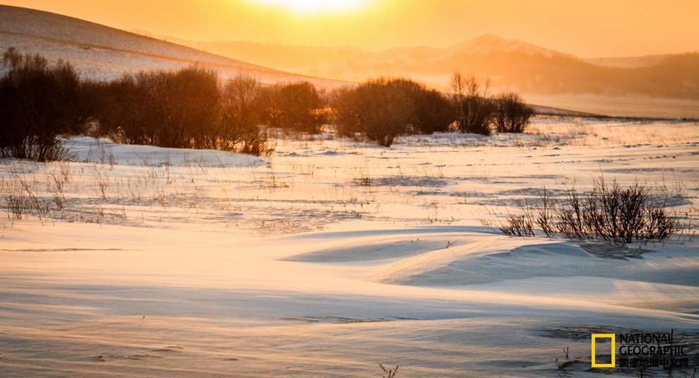 趁冬天还没有来临之前去一趟,一起到坝上去看雪