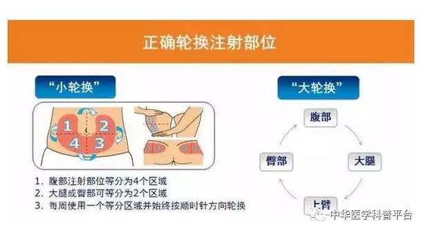 胰岛素最怕什么食物,胰岛素最怕的是吃撑
